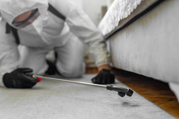Professional Bed Bug Control technician working in Los Fresnos, TX