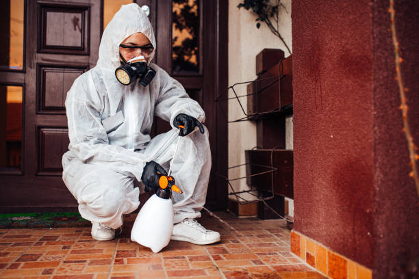 Reliable Bed Bug Control contractor in Los Fresnos, TX by Nex Pest Control