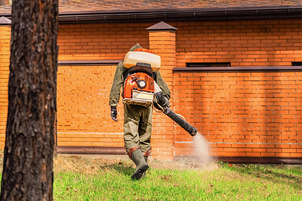 Trusted Ant Control service in Los Fresnos, TX - Nex Pest Control